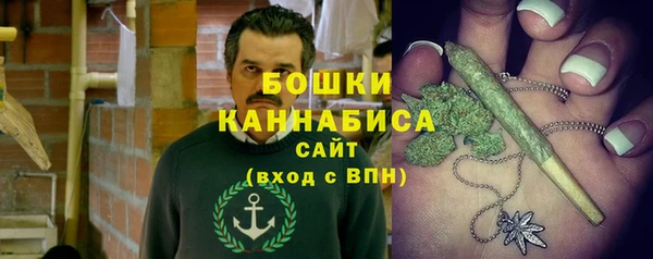 тгк Пестово